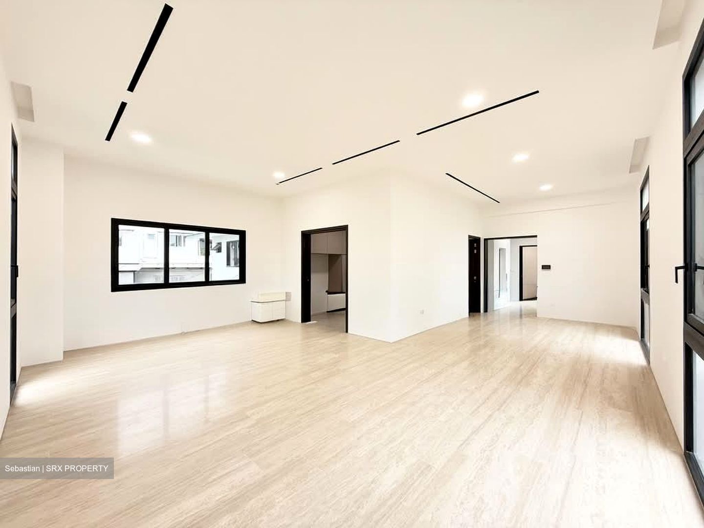 Henry Park (D10), Detached #542618231